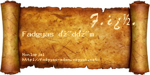 Fadgyas Ádám névjegykártya